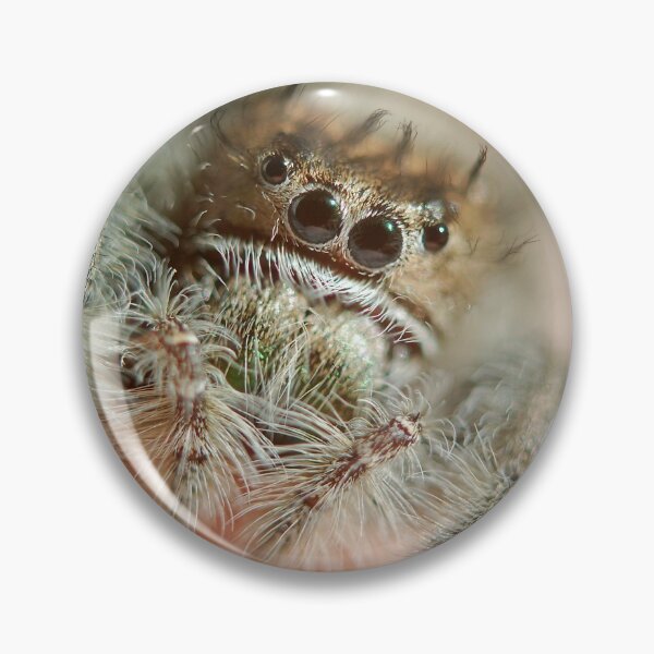 Item preview, Fluffy jumping spider! designed and sold by SharpSpiders.