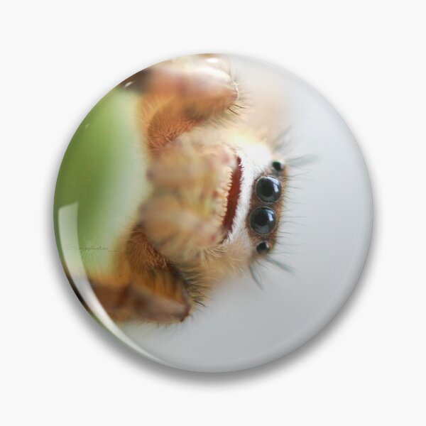 Item preview, Phidippus otiosus juvie designed and sold by SharpSpiders.