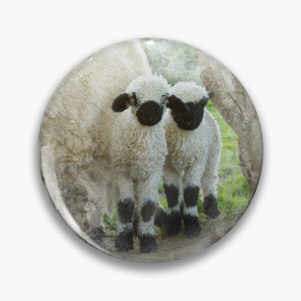 Item preview, The Twins Watercolour Photograph - Valais Blacknose Lambs designed and sold by Jane Stanley Photography.