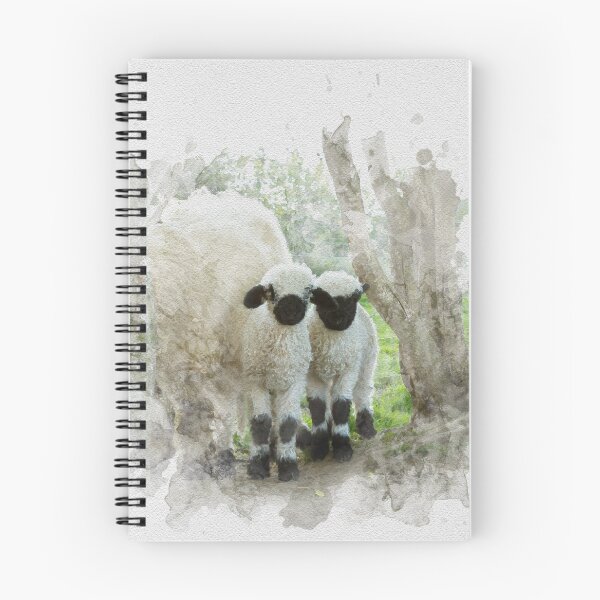 Item preview, The Twins Watercolour Photograph - Valais Blacknose Lambs designed and sold by Jane Stanley Photography.