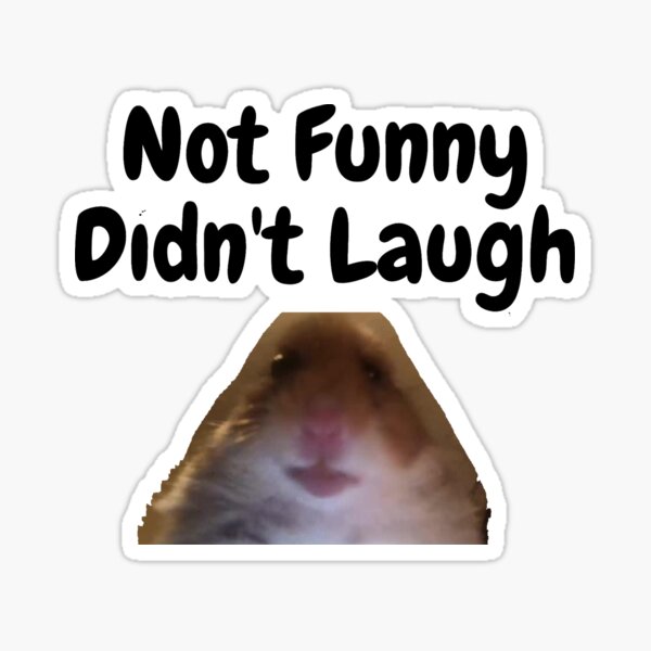 Not Funny Didn't Laugh Hamster Sticker
