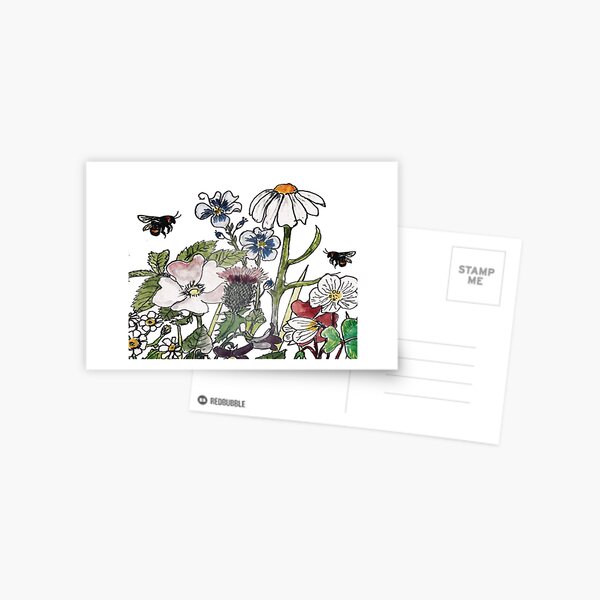 English wildflowers bees thistles Postcard