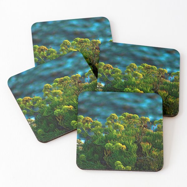 Item preview, Samphire Flowering Coastal Plant Flowers designed and sold by Anna Lemos.