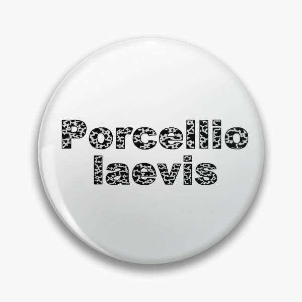 Item preview, Dairy Cow Isopod Porcellio Laevis designed and sold by taylorrowan.