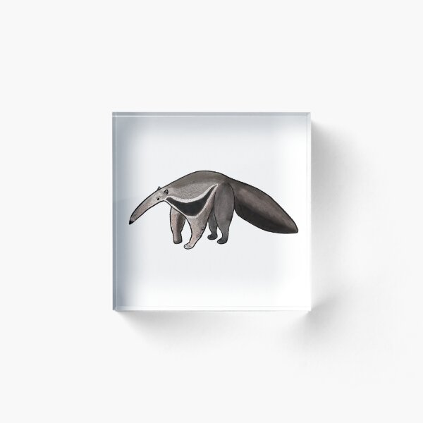 Beautiful anteater Acrylic Block