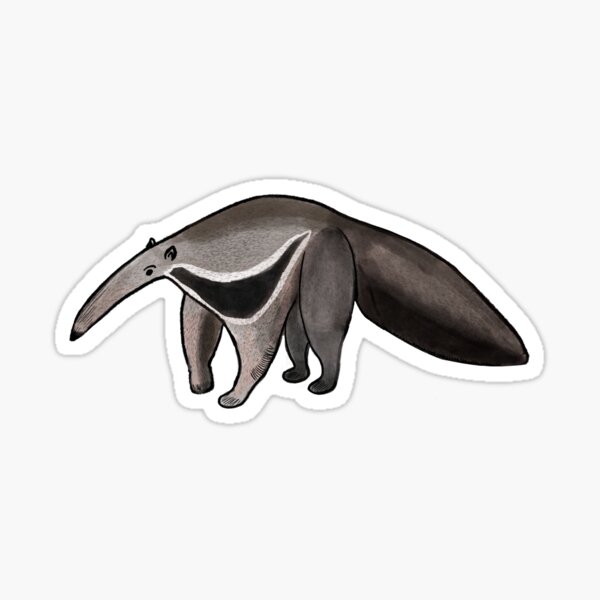 Beautiful anteater Sticker