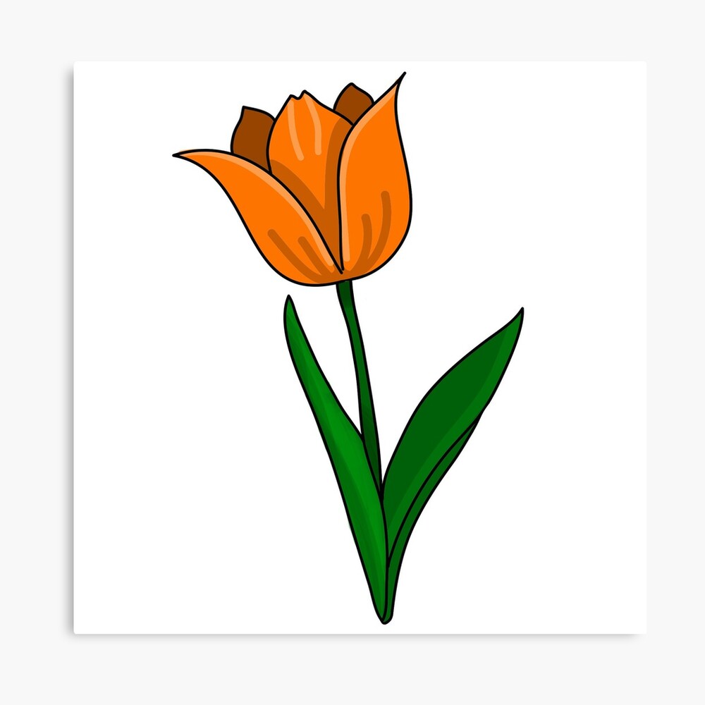 Tulip Outline Tulip Flower Line Art Stock Vector (Royalty Free) 2339777003  | Shutterstock