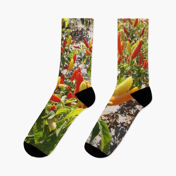 Item preview, Chilli Peppers in Zimbabwe, South Africa designed and sold by KarenZuk.