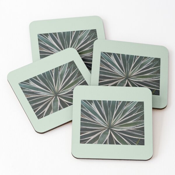 Item preview, Snake Plant. designed and sold by Chanisa Ar.