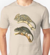 Chameleon Scientific Illustration Unisex T-Shirt