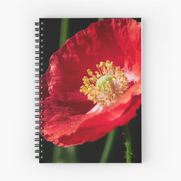 Item preview, The Big Red Poppy Bowl 2 designed and sold by Jouko Lehto Photography.
