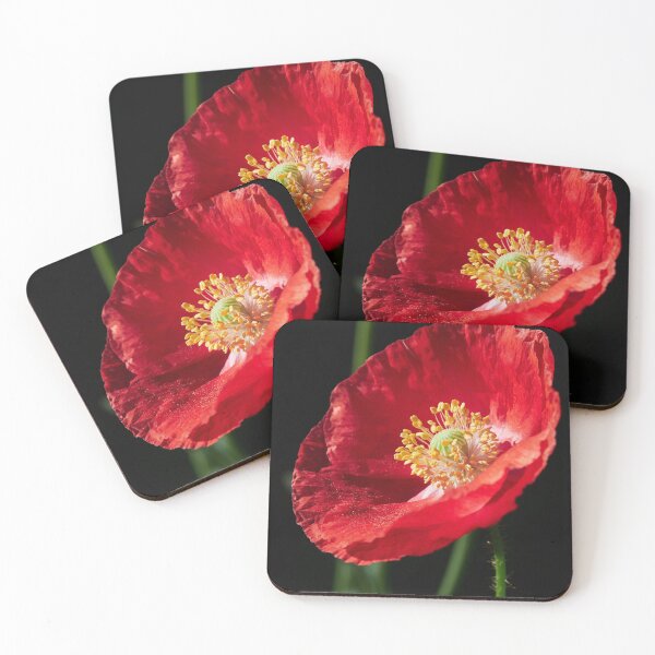 Item preview, The Big Red Poppy Bowl 2 designed and sold by Jouko Lehto Photography.