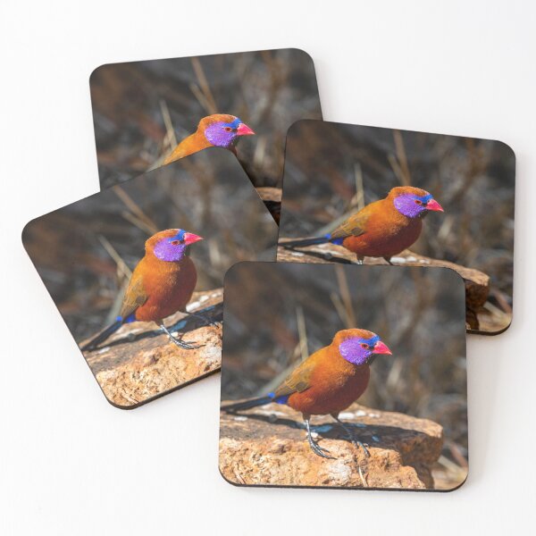 Item preview, Violet-eared Waxbill. designed and sold by Jurie Maree.