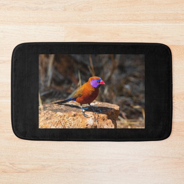 Item preview, Violet-eared Waxbill. designed and sold by Jurie Maree.