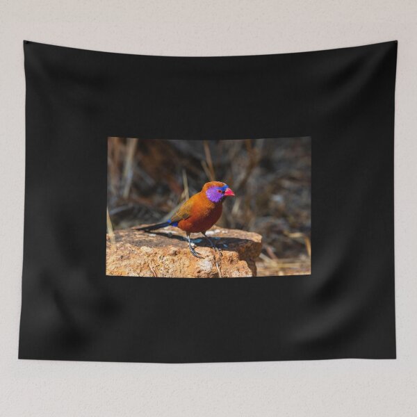 Item preview, Violet-eared Waxbill. designed and sold by Jurie Maree.