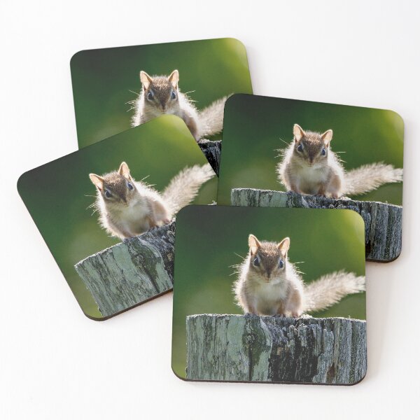 Item preview, Intense designed and sold by BRENDA DOHERTY.