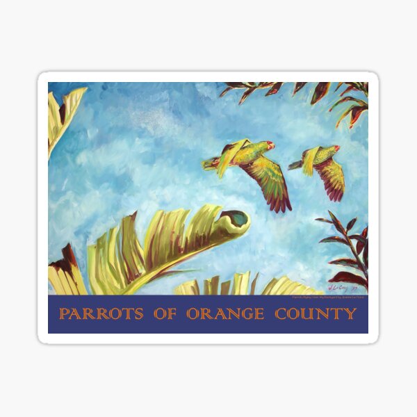 Parrots Text Gifts Merchandise Redbubble