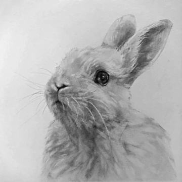 Artwork thumbnail, Little White Rabbit by FineLineStudio