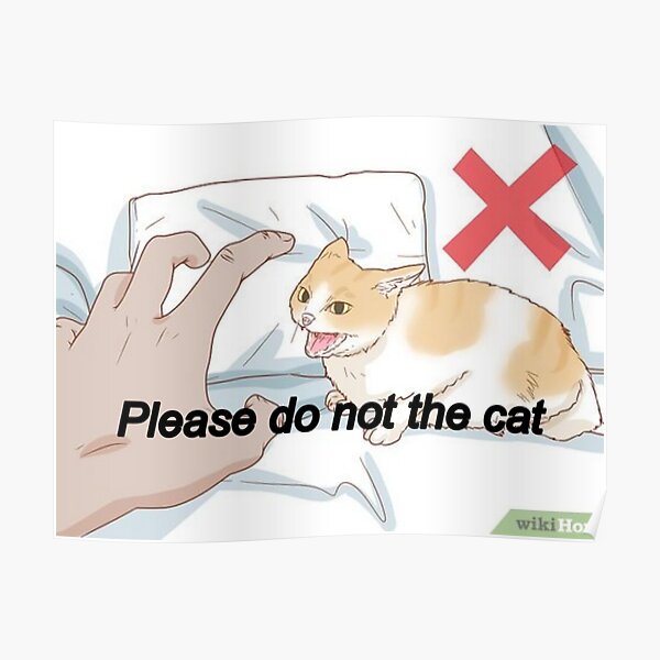 Please Do Not The Cat Meme  Poster