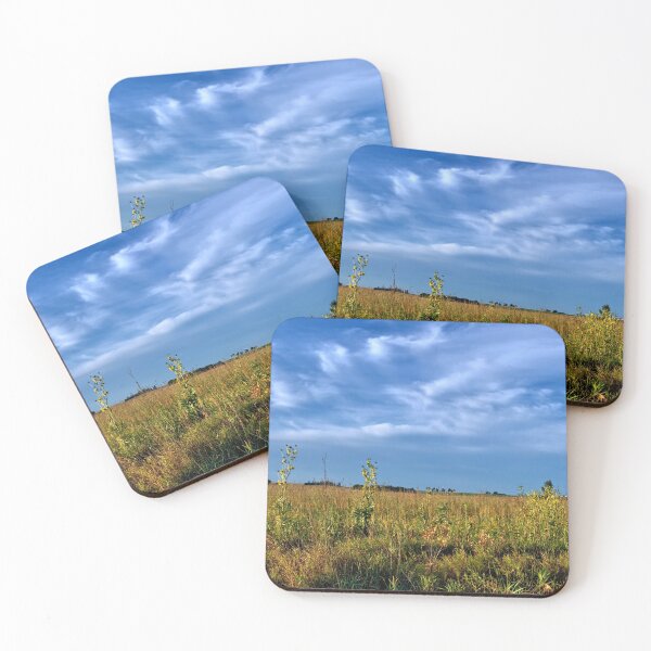 Item preview, Big Marsh Valley 4 designed and sold by LynyrdSky.