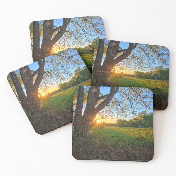 Item preview, Cottonwood Sunburst designed and sold by LynyrdSky.