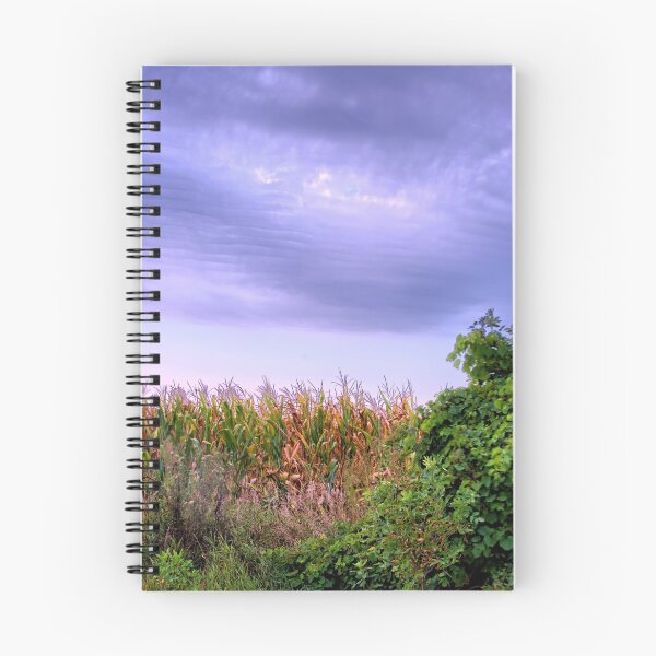 Item preview, Washboard Sky designed and sold by LynyrdSky.