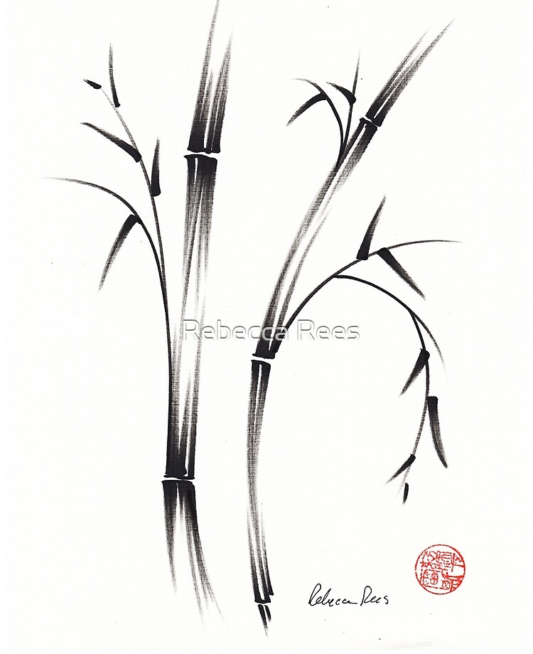 Wacom Bamboo Sketch Precision Stylus for iOS Devices CS610PK | BuyDig.com