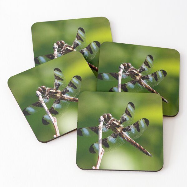 Item preview, Dragonfly designed and sold by BRENDA DOHERTY.