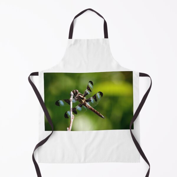 Item preview, Dragonfly designed and sold by BRENDA DOHERTY.