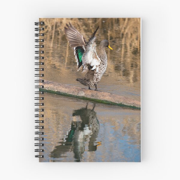 Item preview, Yellow-billed duck. designed and sold by Jurie Maree.