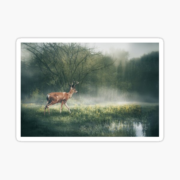 Deer in the Mist Sticker