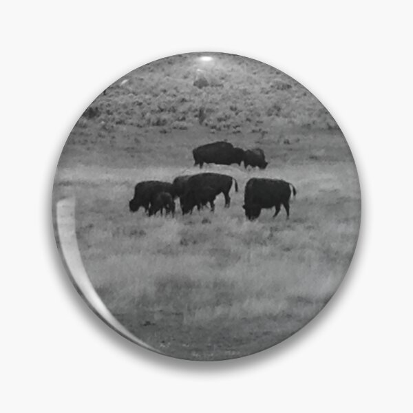 Item preview, Wild Bison in Yellowstone designed and sold by jrichard99.