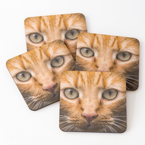 Item preview, Orange Cat with whiskers designed and sold by Nerdy-Tees.