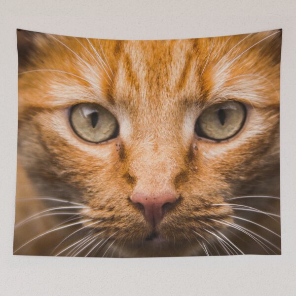 Item preview, Orange Cat with whiskers designed and sold by Nerdy-Tees.