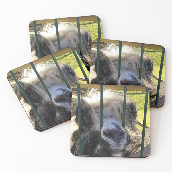 Item preview, Icelandic Goat with Personality designed and sold by jrichard99.