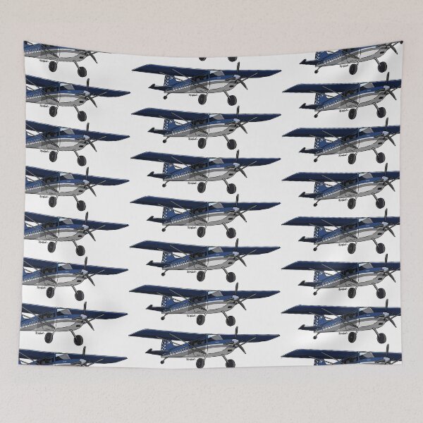 Item preview, RANS DESIGNS INC S-20 RAVEN designed and sold by Michael Garber.