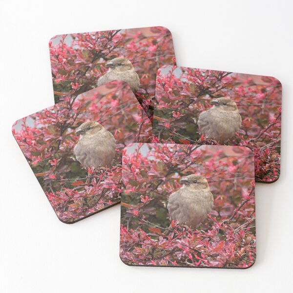 Item preview, Bird in Pink designed and sold by jay24601.