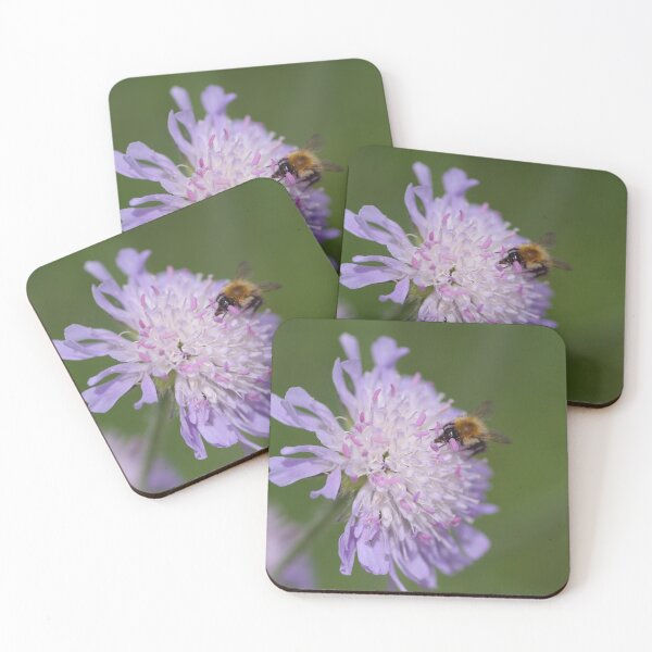 Item preview, Bee and flower designed and sold by Jennifer Roach.