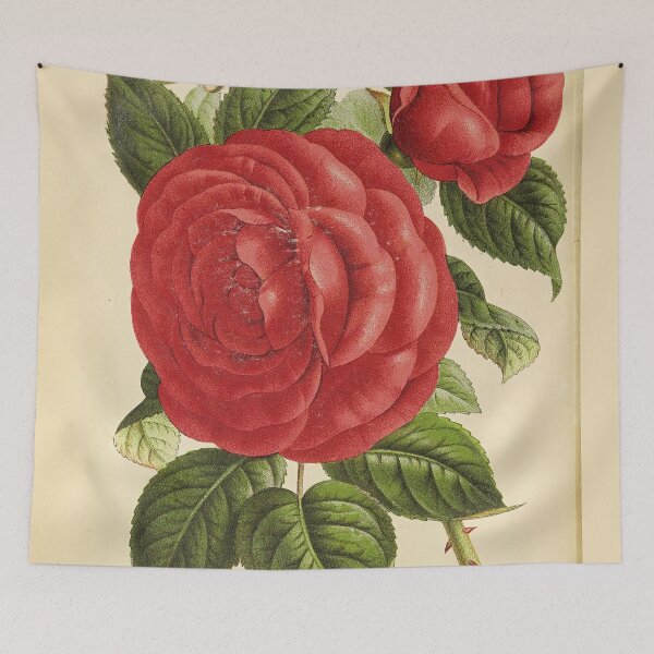 Item preview, Vintage "Countess of Rosebery" Print from The florist and pomologist (1879) designed and sold by Douglas E. Welch Design and Photography.