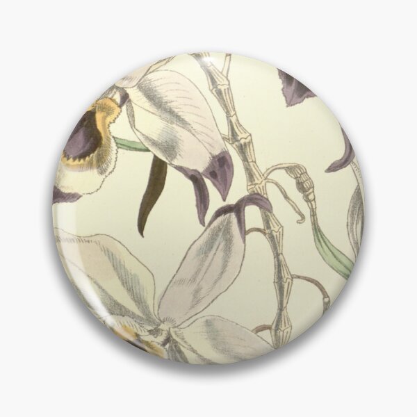 Item preview, Dendrobium falconeri Curtis' 82 (Ser. 3 no. 12) pl. 4944 (1856) designed and sold by EsotericBotanic.