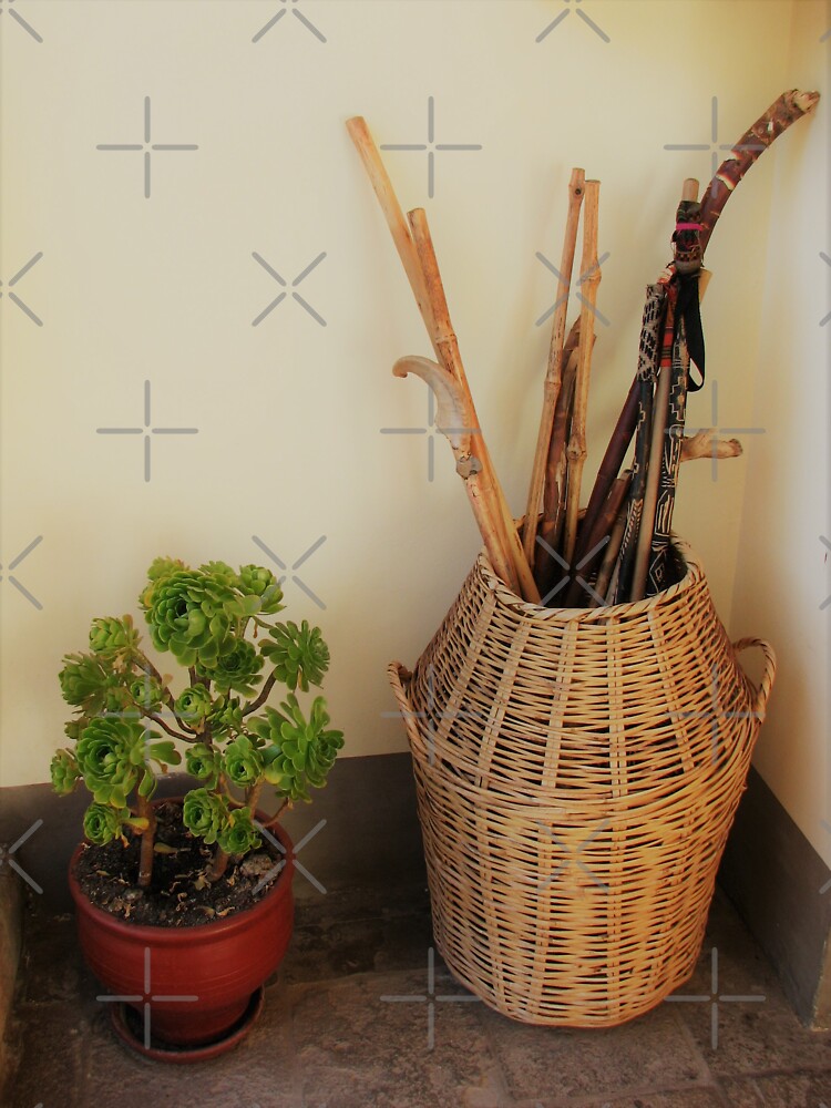 "Walking Stick Basket with Succulent" Sticker for Sale by lisabar