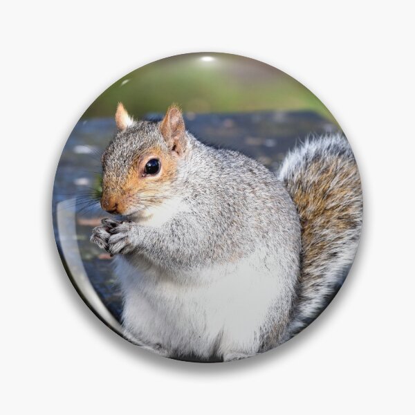 Item preview, A cute squirrel in Mersey Island, Colchester designed and sold by PhotoCDesign.
