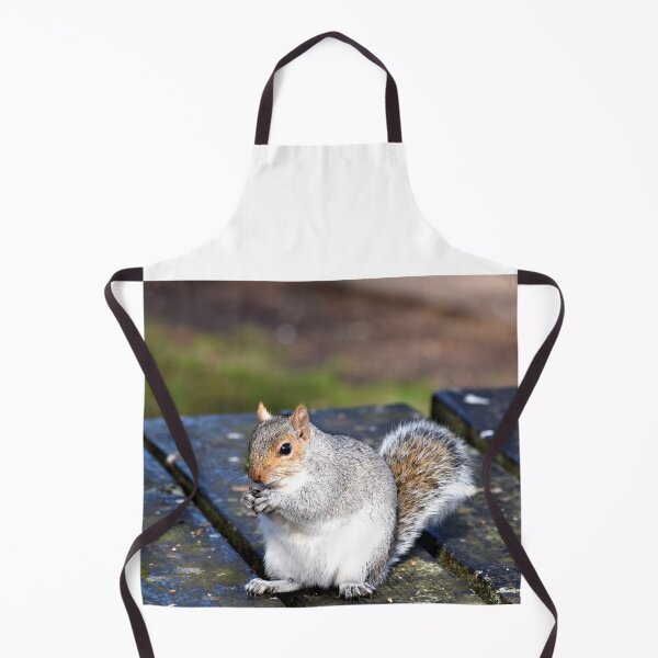Item preview, A cute squirrel in Mersey Island, Colchester designed and sold by PhotoCDesign.