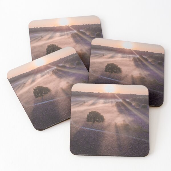 Item preview, First sun rays on a foggy morning above Dutch Purple heathland designed and sold by michieldros.