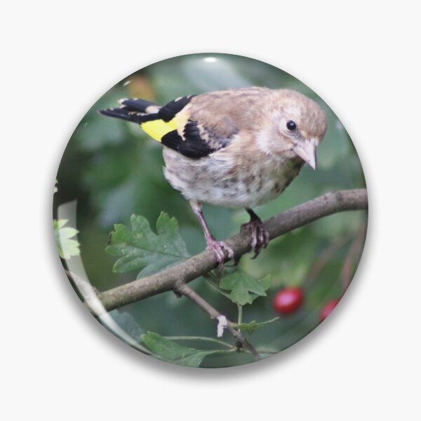 Item preview, European Goldfinch designed and sold by Ladymoose.