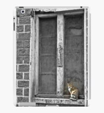Street scene 1 iPad Case/Skin