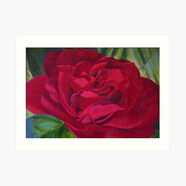 Red Camellia Art Print
