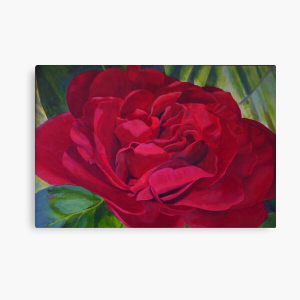 Red Camellia Canvas Print