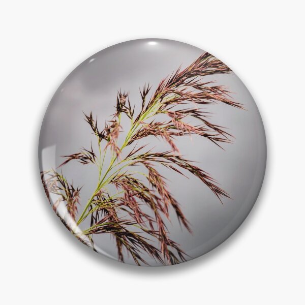 Item preview, Common reed  designed and sold by JEZ22.