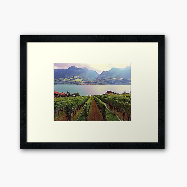 Vignoble en Suisse Impression encadrée